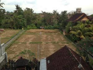 Pondok Mertha House Ubud Eksteriør bilde